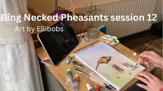 Painting, session 12, Ring Necked Pheasants artwork process 