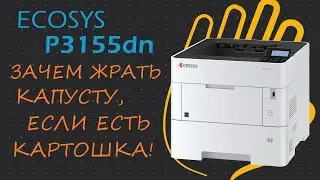 Kyocera ECOSYS P3155dn - настоящая рабочая лошадка! | Kyocera ECOSYS P3155dn - a real workhorse!