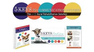 5 Keys Online Communication Integration