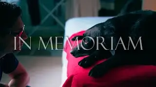 A Dog&rsquo;s Life Tribute to Patrick the Dog
