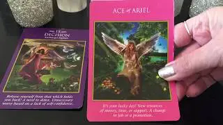 Overall Weekly Spirit Reading-Jan 27-Feb 3rd-Focus on what you CAN do and thats it!