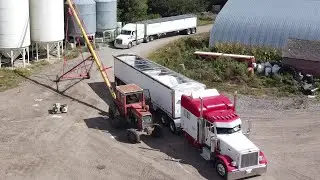 Unloading & Storing fertilizer overwinter      (Urea 46-0-0; not ammonium nitrate NH4NO3)  Farm vlog
