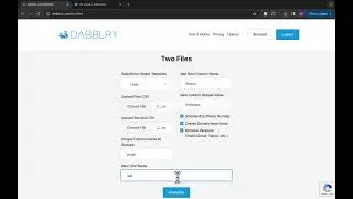 Import Leads into Salesforce