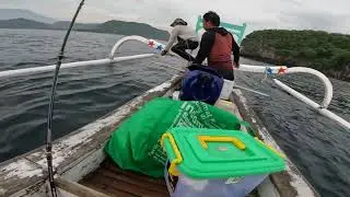 Teamwork&hellip;🙏👍#gopro #good #bts #shortsviral #fishing #shortvideo #shortsfeed #balifishing #