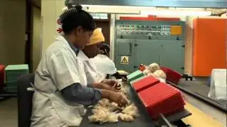 Cape Wools SA - The Story of Wool (Xhosa)