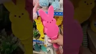 @dollartree #dollartree #diy #gift #shopping #decoration #easter #spring #kids #fun #bunny #cute