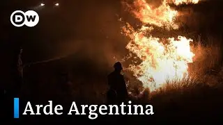 Incendios forestales en Argentina