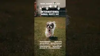 International Animal Rights Day