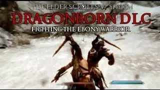 Skyrim Dragonborn DLC Fighting the Ebony Warrior