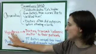 The Scientific Method