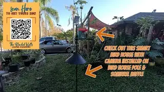 Smart Bird Feeder and Pole (w/Squirrel Baffle) Installed