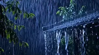 💧 Falling Rain on Tiled Roof &mdash; Ultimate Rain Ambience for Deep Sleep & Quiet Comfort 🌧