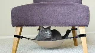 Cat Crib Cat Hammock and Bed