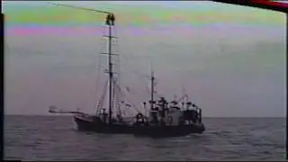 Ocean Clipper