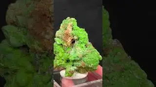 Pyromorphite Saint Salvy Mine Tarn Midi Pyrenees France #minerals #mineralspecimen #