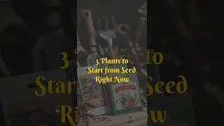 3 Plants to Start from Seed Right Now (Mid-Spring Gardening Tips)
