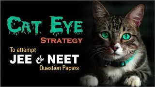 CAT-EYE Strategy to attempt JEE Main 2023 Exam
