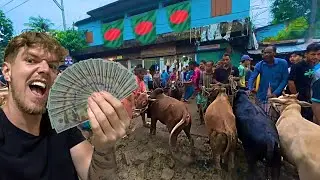 Buying 2 COWS for Eid Mubarak&hellip; 🇧🇩