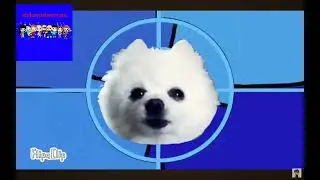 abertura do chaves memes cachorros