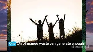 D34 Mango Waste, MegaWatts of Hope