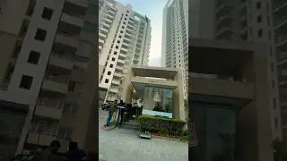 DLF The Primus | Sector 82A Gurugram #dwarkaexpresswaygurgaon #property #luxuryflats