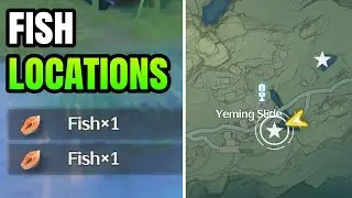 Fish Locations - Fishing Master Trophy | Wuthering Waves