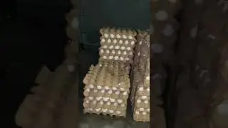 Farm fresh eggs.