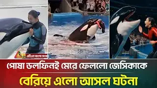 পোষা ডলফিনের হাতেই প্রাণ গেলো জেসিকার! আসলে যা ঘটেছে | Jessica Radcliffe dolphin | ATN Bangla News