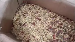 Red chilli Megnet destoner machine WhatsApp me +91 93292 05352