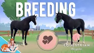 Breeding my 1st foals in Equestrian the game