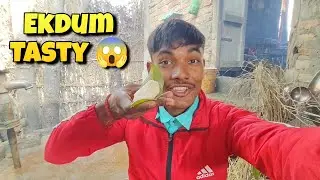 Makar Sankranti Ke Din Banaya Thekuwa 😋 | Village Vlog 