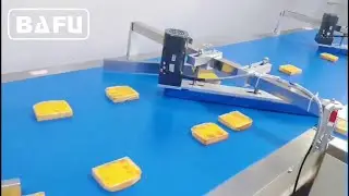 cake, bread, cookies, biscuit automatic packaging machine, flow-pack machine, flow wrapper