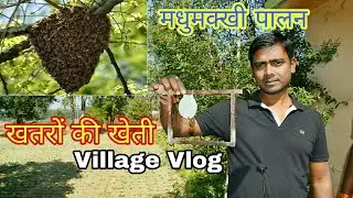 मधुमक्खी पालन | Village vlog | Ditesh | Honey bee farming
