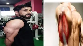 Biceps workout at gym !Asfhan Raja Fitness