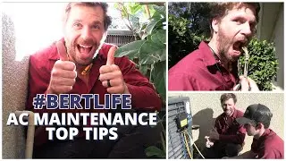 AC Maintenance Top Tips #BertLife