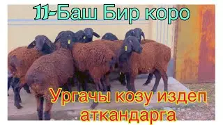 🤭🤗Талаш болуп кетти Сатылып кетти @BARPYKG 