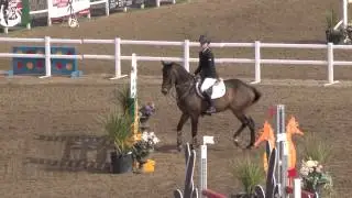 Showjumping Pony Viewing Trial