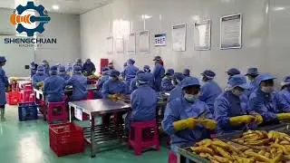 China Commercial Electric Dehydration Vacuum Frying Machine