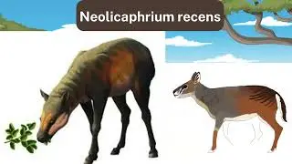 Macrauchenia patachonica - Neolicaphrium recens