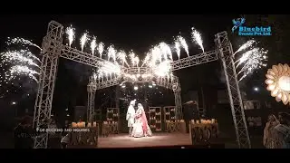 Bride & Groom Wedding Entry Ideas 2025 | Unique & Dreamy Entry Concepts   | 9319212344 Bluebird |
