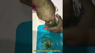Homemade COCKTAIL 🍸/ So easy & delicious you will make it EVERYDAY 🔥