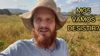 MG5 VAI BEM NA SECA? POR QUE NÃO VAMOS MAIS PLANTAR ESSA CULTIVAR