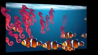 The Sea - Adobe After Effect