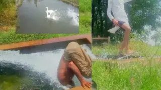 village boys swimming and jumping enjoying fight