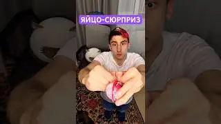 КУПИЛ ЯЙЦО-СЮРПРИЗ #юмор #рекомендации #обзор
