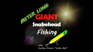 METER long Giant Snakehead on Surface Cruiser lure