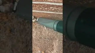 Crevice Tool edging 👌🏻
