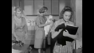 The Donna Reed Show  Mary's Driving Lesson S3E36