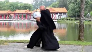 Tai Chi Ball - Master Wang Yunkuo's Kung Fu