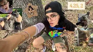 bumpin&rsquo; n blazin&rsquo; (happy 420) | 04.25, 2